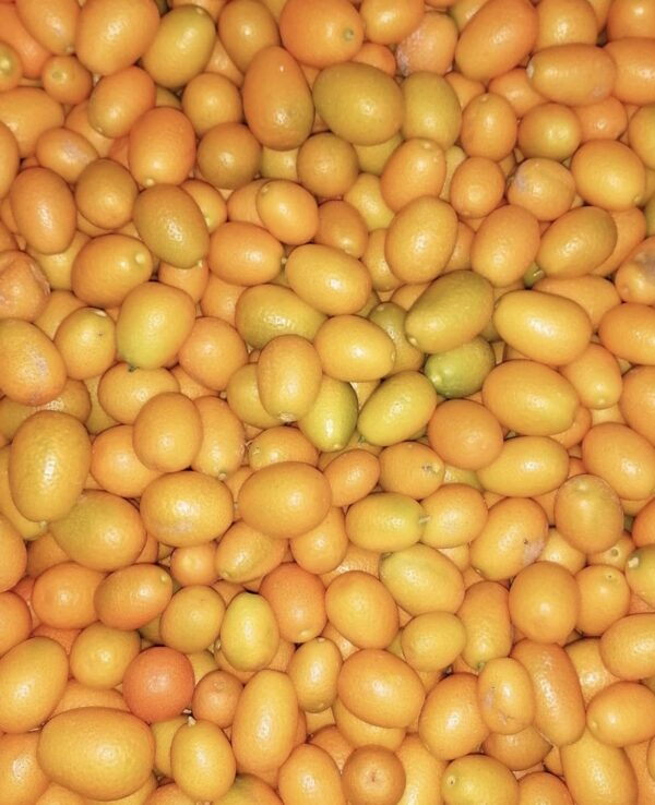 kumquats