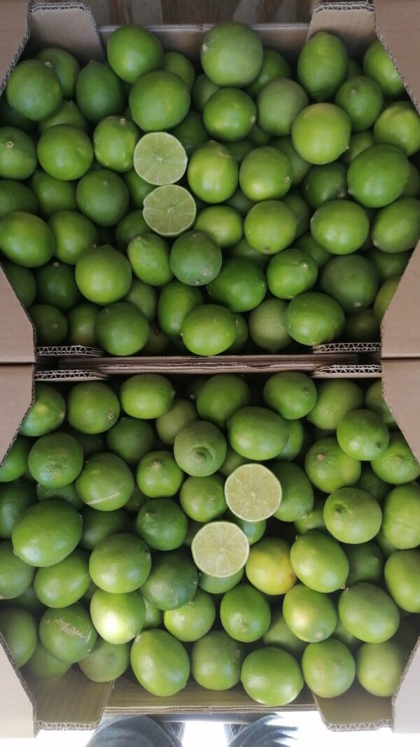 lime