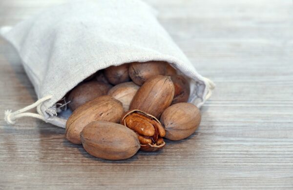 pecan nuts