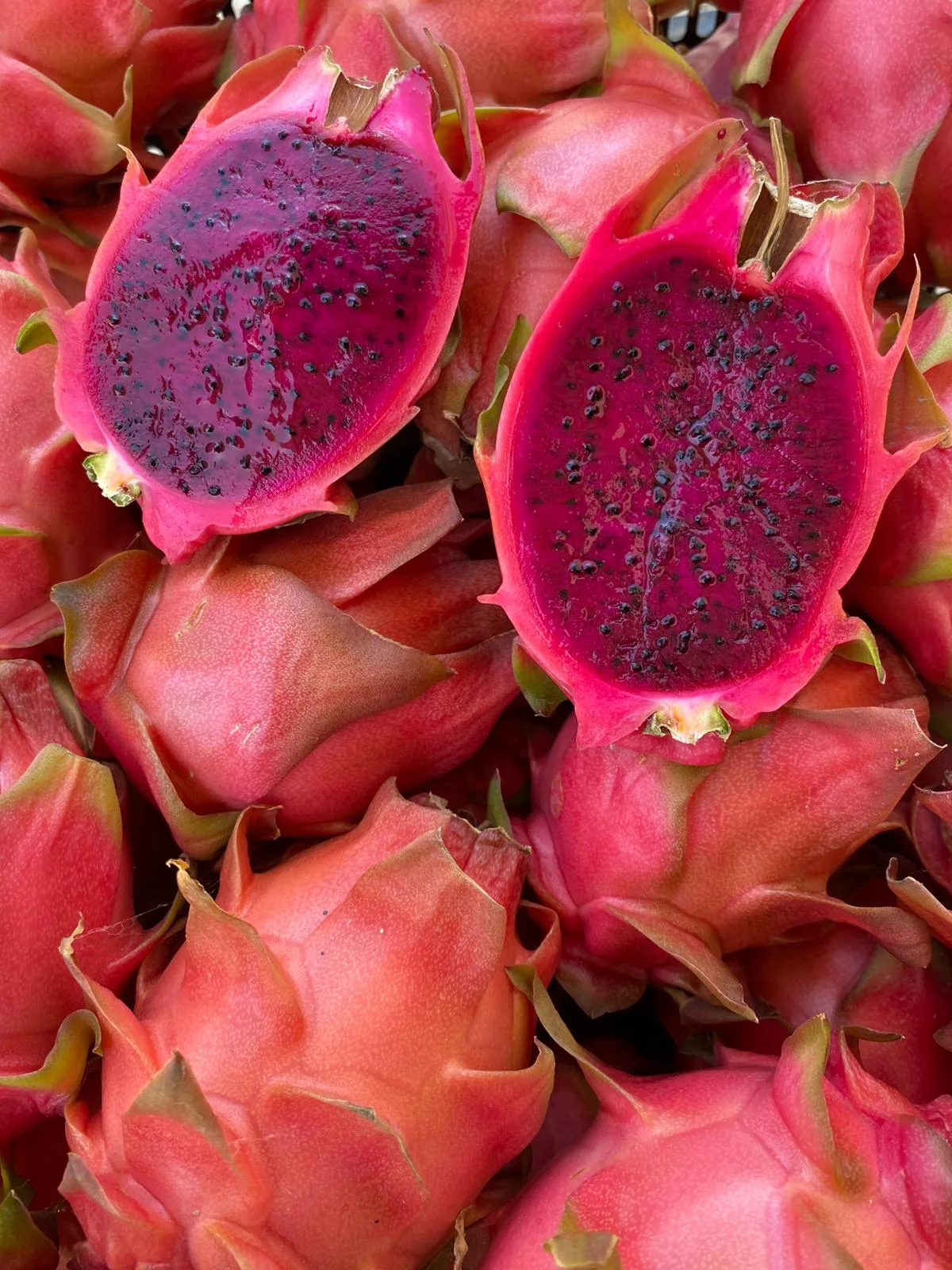 pitaya
